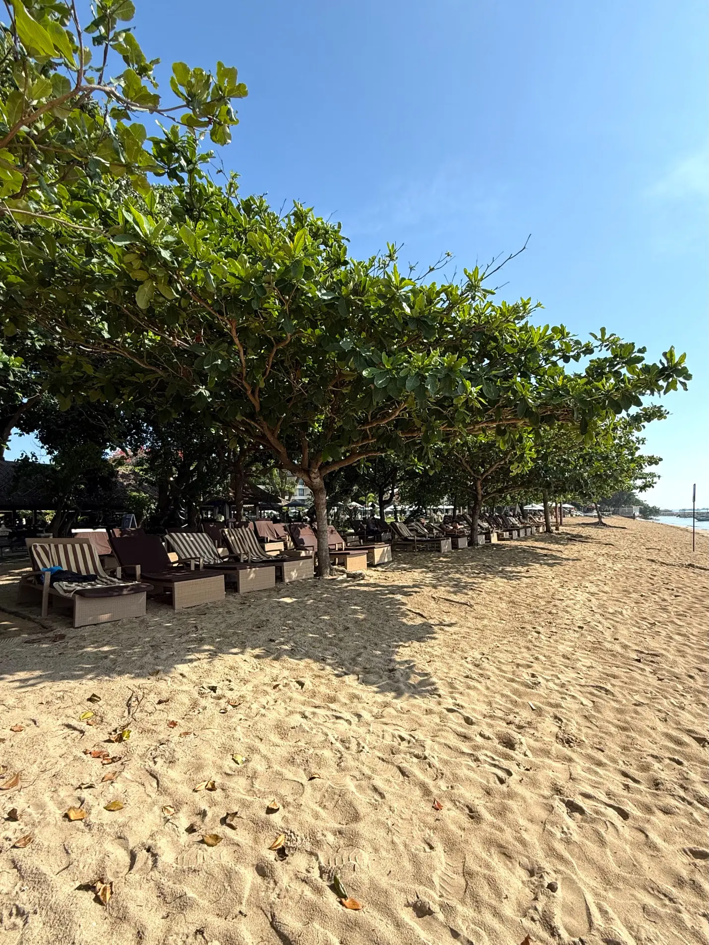 【50代夫婦旅行】 大人がのんびり楽しめるビーチと街があるバリ島サヌール地区_1_42