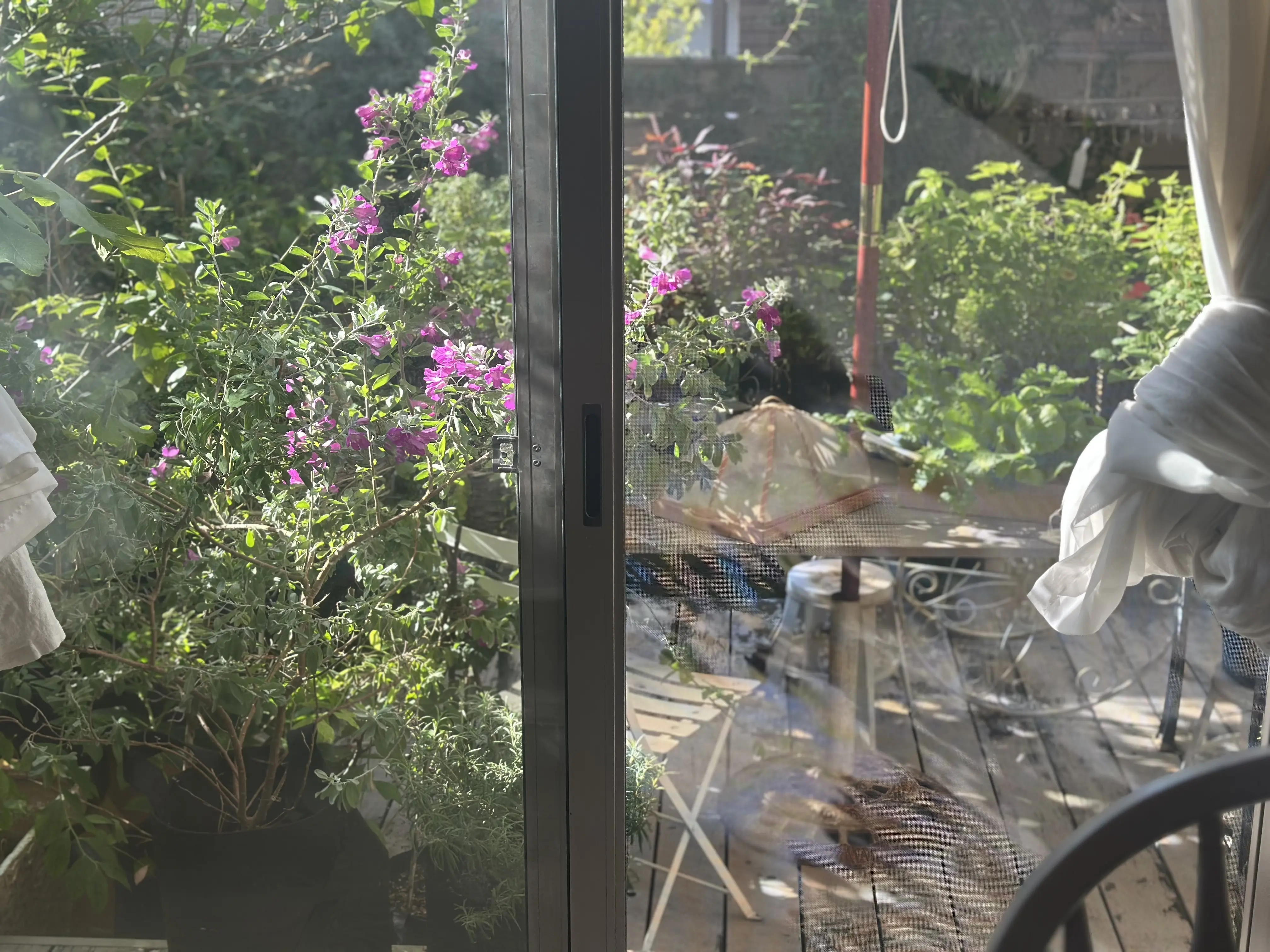 10月も下旬、本格的な秋到来！植物たちも変容し始めました。_1_3