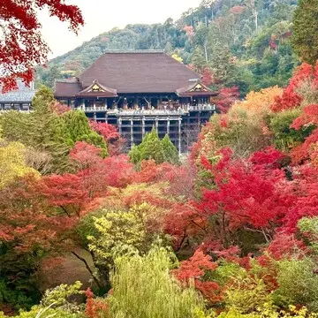 秋色に染まる絶景「紅葉スポット」