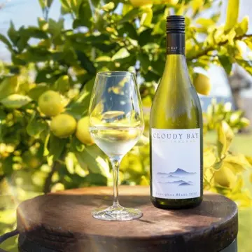 ニュージーランドの自然を感じさせるワイン 「クラウディー ベイ ソーヴィニヨン ブラン 2020」が誕生！／【飲むんだったら、イケてるワイン／WEB特別篇】