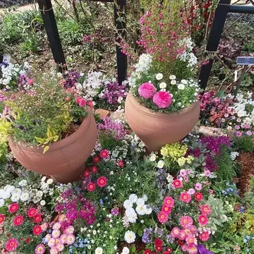 横浜イングリッシュガーデン園内の花壇
