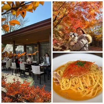 紅葉に包まれて頂く中軽井沢の絶品イタリアン