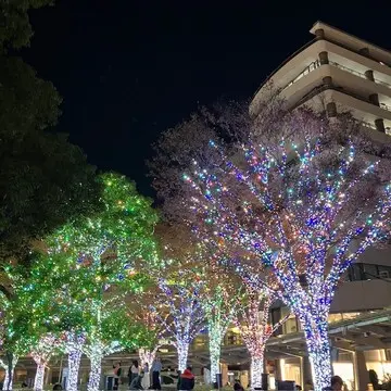 今が見ごろ！東京のクリスマスツリーとイルミネーションが楽しめるおすすめスポット【ウェブエクラ編集長シオヤの「あら、素敵☆ 手帖」#46】