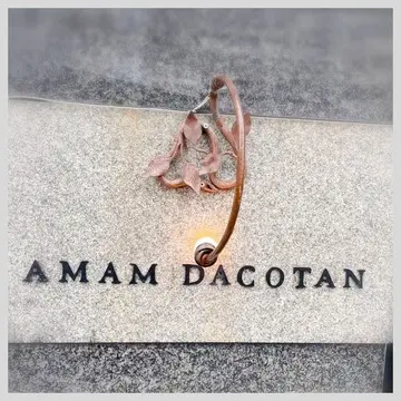 AMAM DACOTAN 