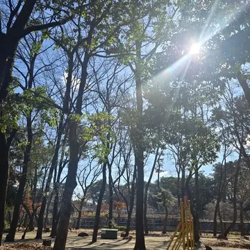 お堀沿いには広大な公園