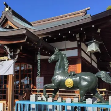 午年にお詣りしたかった神社へ⛩