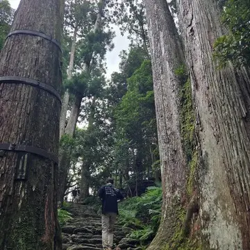 藤井風さんの直筆サインが見れる！？推し活＆スイーツでパワー充電【チームJマダムブログ人気記事週間ランキングTOP10】_1_14-1