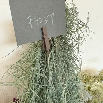 【花時間】Christmasフラワーマルシェとランチパーティー_1_4-2