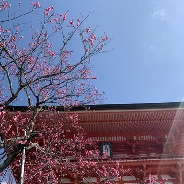 娘と春の日帰り京都旅