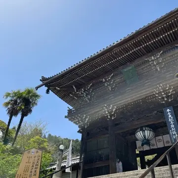奈良長谷寺へ〜花癒しのドライブ