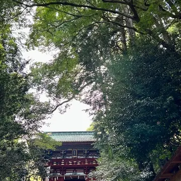 徳川家の史跡を巡る静岡旅🍊