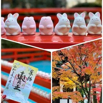 秋の京都巡り♡紅葉の永観堂（禅林寺）〜 岡崎神社（うさぎ神社）