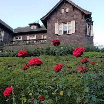 推し活＆平塚神社＆旧古河庭園