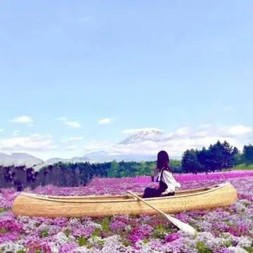 アラフィーの旅。ピンク色に染まる富士シバザクラ祭り