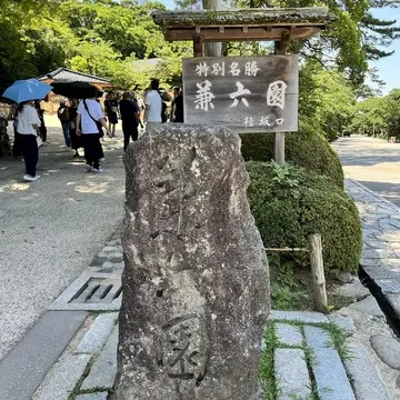 1枚で夏のおしゃれが決まる！猛暑を吹き飛ばすきれい色ワンピース【チームJマダムブログ人気記事週間ランキングTOP10】_1_6-1