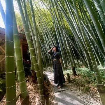古都鎌倉が好き。「報国寺」の竹林に癒される旅