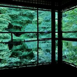 ６月の京都。青紅葉、苔庭、紫陽花。