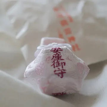 【京都】世界遺産・上賀茂神社と宇治平等院へ_1_3-1