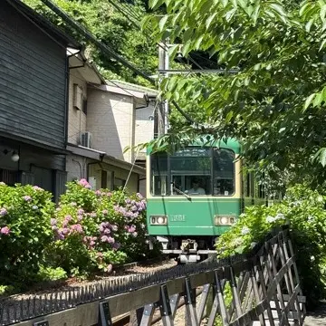 鎌倉紫陽花と続・続・最後から二番目の恋ロケ地巡り