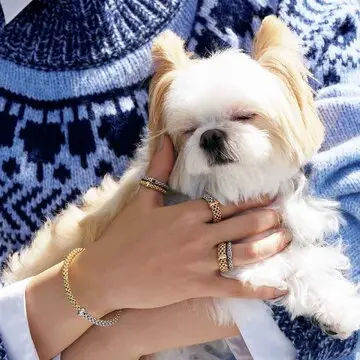 手元に美しくフィットする「フォッぺ」のリング＆ブレスレット【日常を照らす「ステディリング」】