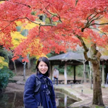 紅葉がきれい！絶景登山【日本三景・宮島】