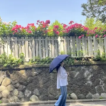 開いても閉じてもHAPPY♡日傘を買いました！