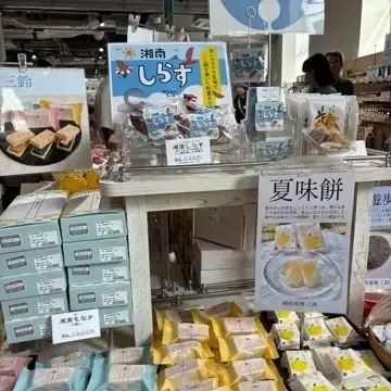 日本三名瀑「袋田の滝」へ！夏の茨城旅を満喫【チームJマダムブログ人気記事週間ランキングTOP10】_1_18-1