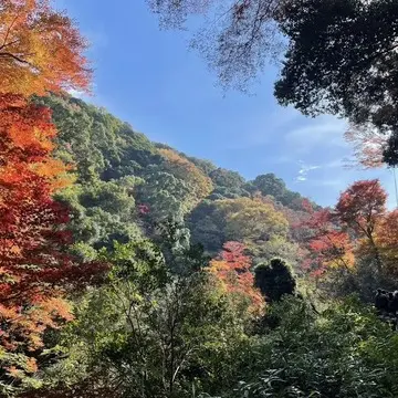 秋冬をおしゃれに楽しむ！ZARA、H&amp;Mを使ったデニムプチプラコーデ【チームJマダムブログ人気記事週間ランキングTOP10】_1_20-1