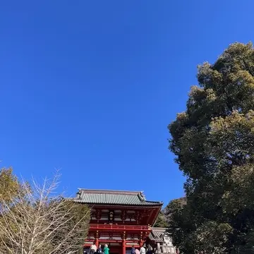 新年は鎌倉から