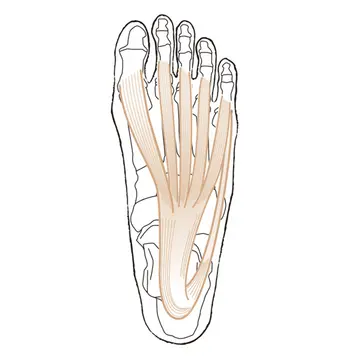 【50代、足と脚の違和感】足底腱膜炎って何？ 原因と対策について医師が解説！