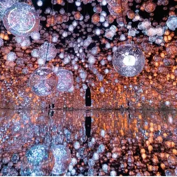 驚きと感動で感性をリフレッシュ！ 50代が観るべき東京都内の体験型アート4選