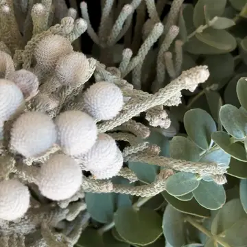 【花時間】Christmasフラワーマルシェとランチパーティー_1_3-1