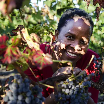 平和と希望のワイン「アスリナ」 南アフリカの黒人女性醸造家の“夢”とは？【飲むんだったら、イケてるワイン／WEB特別篇】