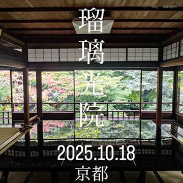 【京都】紅葉パトロール🍁瑠璃光院🍁秋の特別拝観