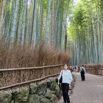 京都2泊3日＊自然を感じるゆったりコースをご紹介【前編】