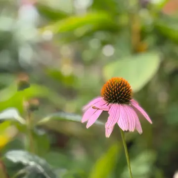 季節の変わり目の身体にやさしいもの❤︎