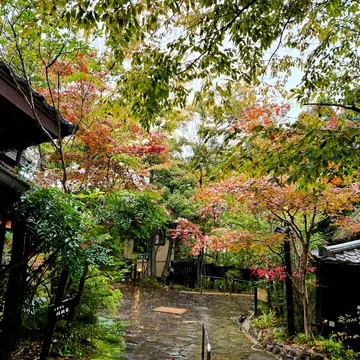 秘境の紅葉スポットと湯布院日帰り立寄り温泉♨_1_16-2