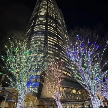 この冬見たい、心に残る東京イルミネーション3選