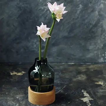 凛としたたたずまいの「個性派の花器」でおうちを素敵空間に【存在感のある花器】
