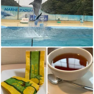 今年の春旅はハリウッド女優もお忍びで訪れる美人の湯 下田観音温泉へ【後編】