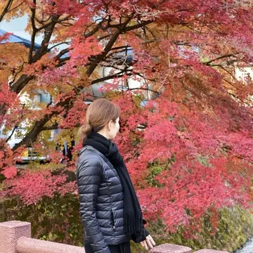 晩秋の那須高原へ紅葉狩りに