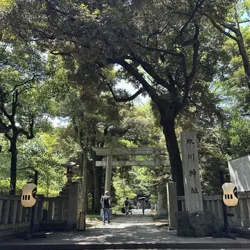 夏越の大祓