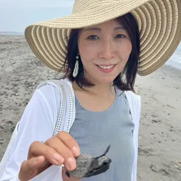 ウミガメの赤ちゃん　こんにちは！