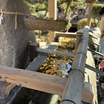 【京都】世界遺産・上賀茂神社と宇治平等院へ_1_5-1