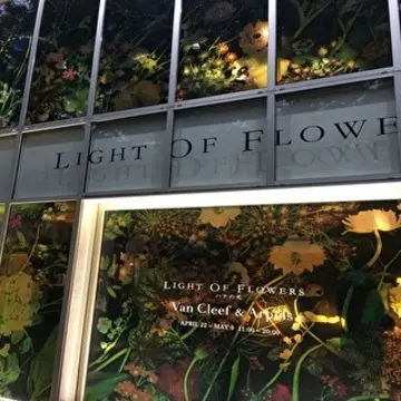 LIGHT OF FLOWERS ハナの光