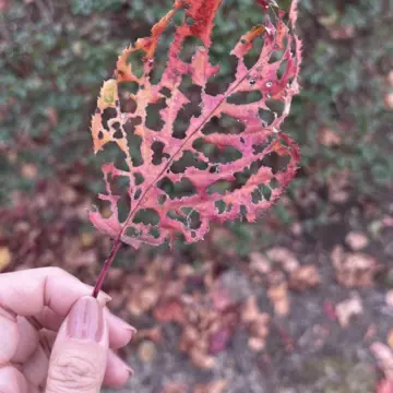 乾通り散策＊GUコーデ