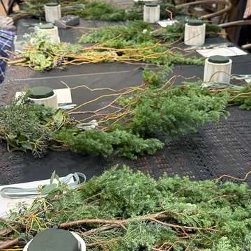 Christmas Treeがラッキーアイテムみたい🌲_1_1-1