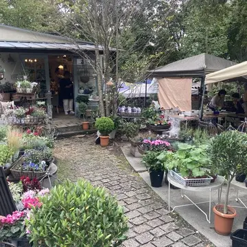 秋の気配を感じ森のお店を訪れました。🌲