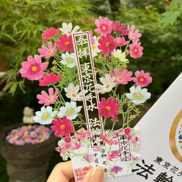 【東京さんぽ】御朱印も、秋。
