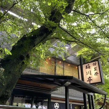 【初夏の上野】大人のごほうび時間｜うなぎ「伊豆栄 梅川亭」とレトロ喫茶「カヤバコーヒー」へ